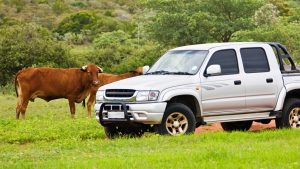 Luxury Car Tax Refunds for Primary Producers: a $10,000 Opportunity